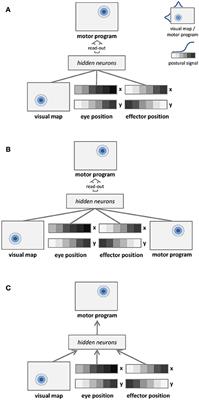The Role of Architectural and Learning Constraints in Neural Network Models: A Case Study on Visual Space Coding